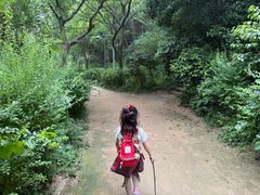 -西湖风景区-江洋畈生态公园