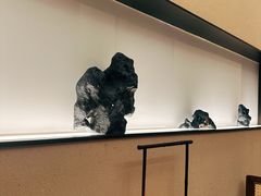 -觅唐MITONG(鸟巢店)