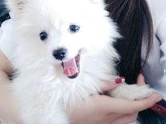 -他她纯乐party量贩KTV(升龙店)