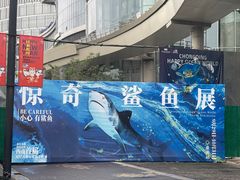 -重庆欢乐海底世界