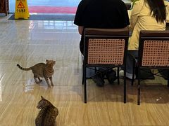 -德克士(呀诺达店)