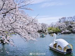 -井之头恩赐公园