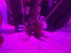 -沈阳海洋探索中心