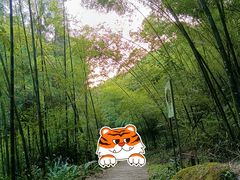 -雅安上里古镇