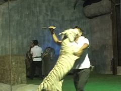 -清迈夜间动物园