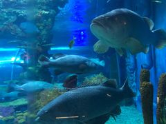 -上海海昌海洋公园-停车场