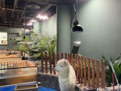 -上海大自然野生昆虫馆(东方明珠·爬宠昆虫探索中心)