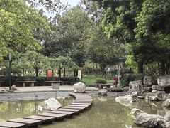 -神仙树公园