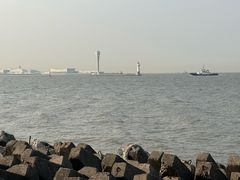 -上海滨江森林公园
