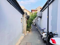 -北京国子监胡同
