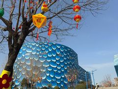 -华夏文旅海洋公园