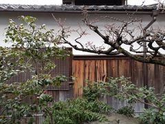 -中村藤吉(本店)