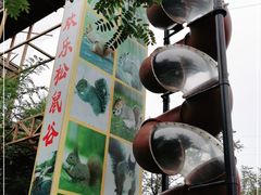 -欢乐松鼠谷