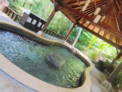 -天目湖涵田半山温泉