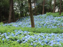-临平公园(临平街道)