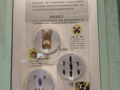 -亳州博物馆