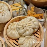 郑州！跟着大学生吃到了…宝藏牛腩煲！！！
