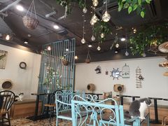 大堂-共舞时光猫咖·狗咖(新街口店)