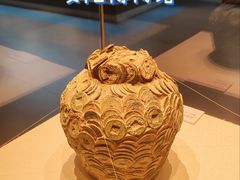 -安阳博物馆