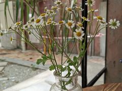 -Kekimatata 生日蛋糕·烘焙教学
