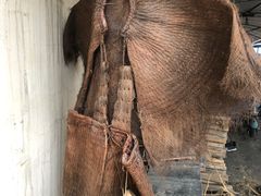 -金台阶鱼馆(于桥水库店)