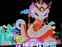 -花博汇(知音花月夜)