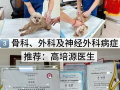 -派美特宠物医院·核磁CT·骨科肿瘤·疑难转诊(沈农禾丰店)