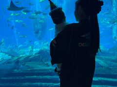 -OSSIANO奥西亚诺海底餐厅