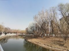 -长白岛森林公园