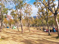 -牛岗山公园