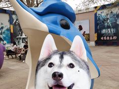 -朝阳公园游乐园