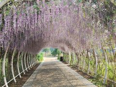 -同里国家湿地公园