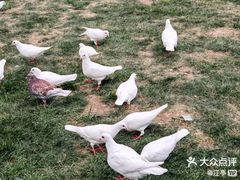-北戴河集发农业梦想王国
