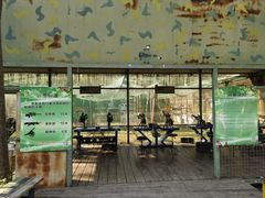 -合肥滨湖国家森林公园