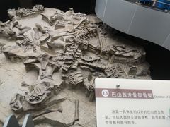 -自贡恐龙博物馆