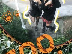 -成都动物园
