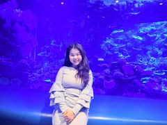 -欢乐海岸海洋奇梦馆