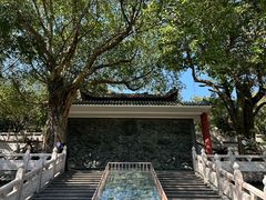 -鼎湖山风景区