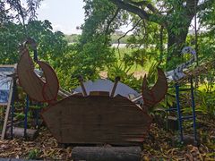 -华侨城湿地公园