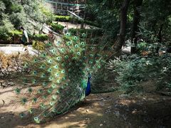 -燕塞湖鸟语林景区