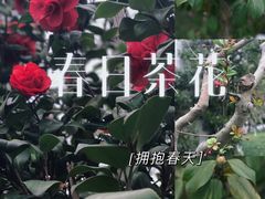 -西湖文化广场