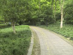 -杭州城北体育公园