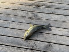 -酷鱼垂钓CLUB(朝阳区博大路店 )