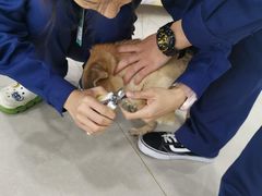 -佳雯宠物医院·皮肤科·内外科(春晓路分院)