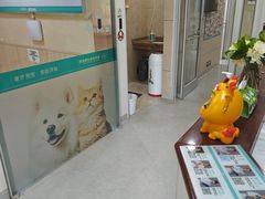 -谐和益家动物医院·免疫绝育·血液透析·宠保定点医院(高新伊藤分院)