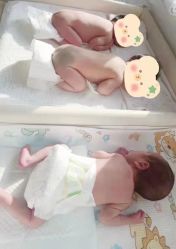 -海豚湾高端月子会所(黄浦店)