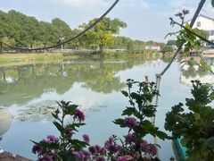 -水岸居湖景农家乐·阳澄湖大闸蟹