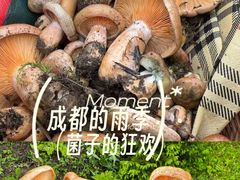 -阿坝州汶川特别旅游区
