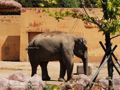 -沈阳森林动物园