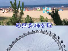 -日照海滨国家森林公园